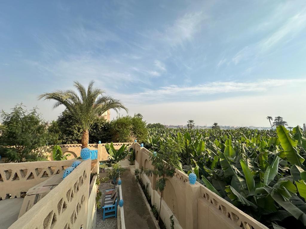 Villa Rebecca Professor'S Paradise Luxor Kültér fotó