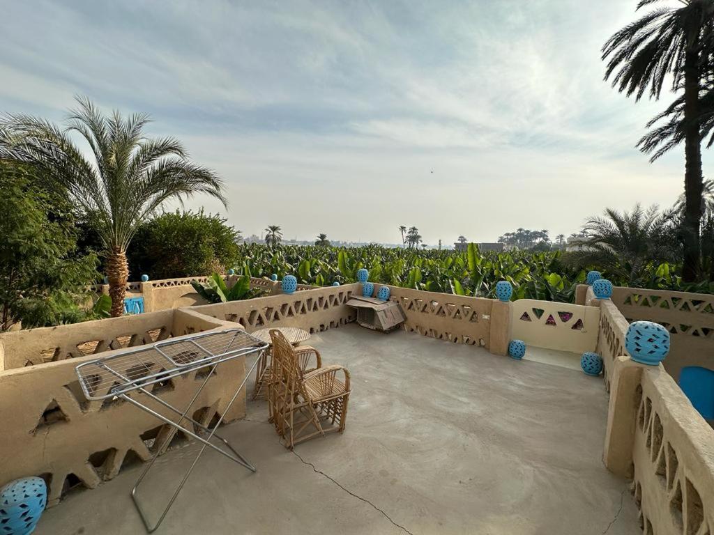 Villa Rebecca Professor'S Paradise Luxor Kültér fotó