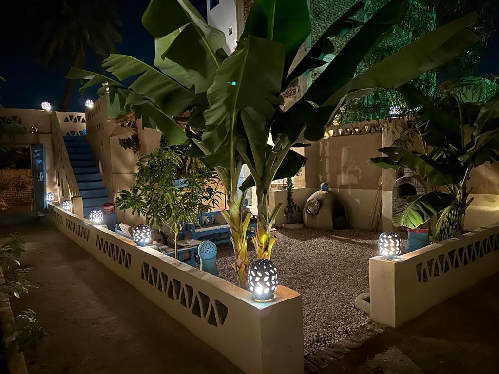Villa Rebecca Professor'S Paradise Luxor Kültér fotó