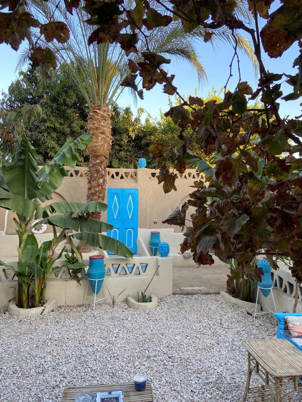 Villa Rebecca Professor'S Paradise Luxor Kültér fotó